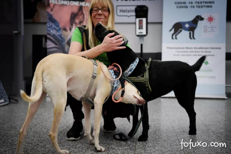 Projeto da Finlândia utiliza cães para detectar coronavírus