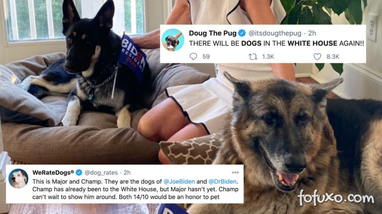 Casa Branca voltará a ter Cachorro depois da vitória de Biden