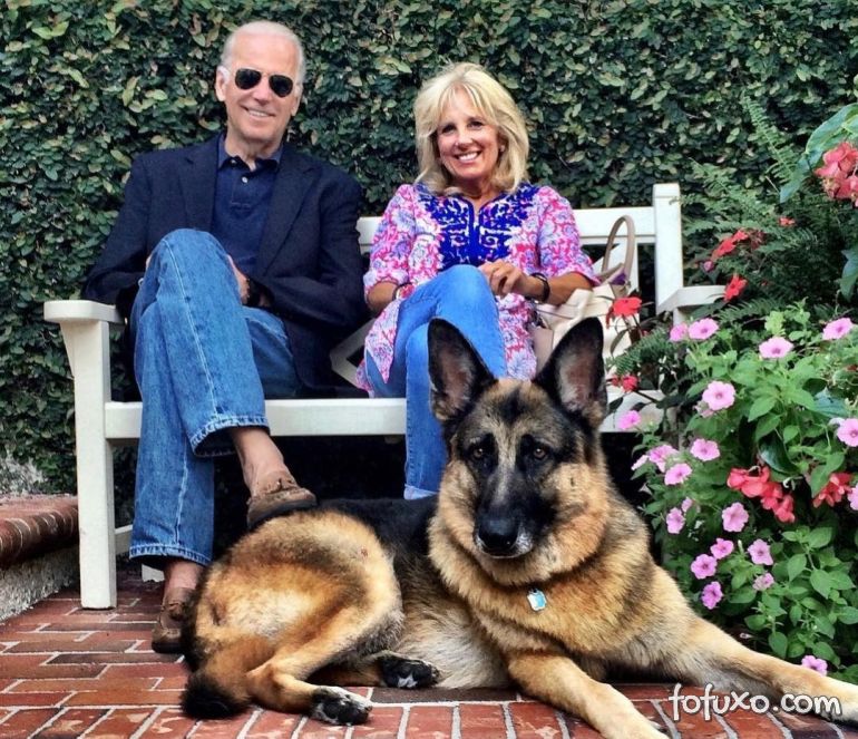 Cachorro de Joe Biden será empossado como “primeiro-cão” dos EUA