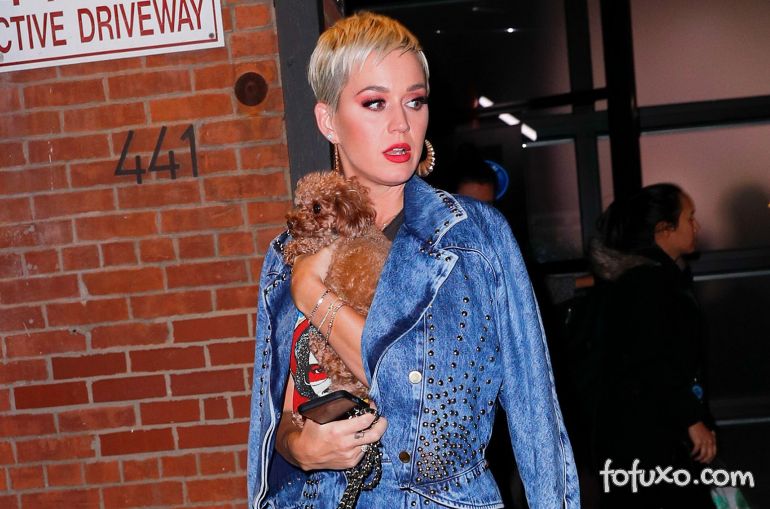 Katy Perry é criticada após oferecer dieta vegana ao seu cachorro