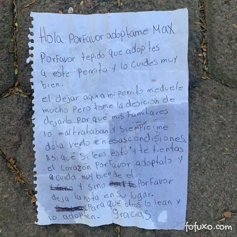 Criança abandona cachorro maltratado por pais e deixa bilhete