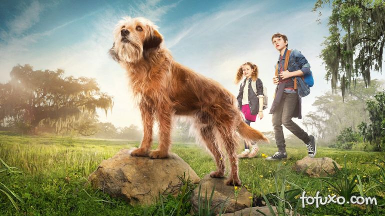 5 filmes sobre cachorros para assistir na Netflix