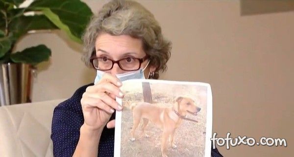 Mulher viaja mais de 1.300 km para reencontrar cachorro