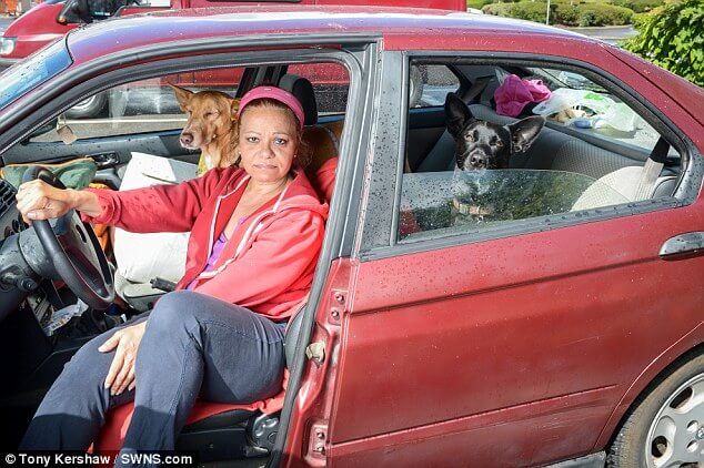 Professora decide morar dentro de carro para ficar com cachorros
