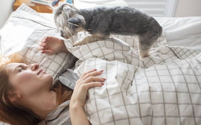 Estudo afirma que dormir com cão pode aliviar dores