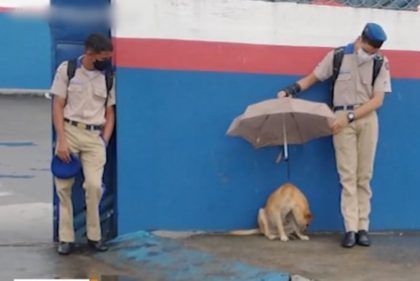 Estudante viraliza ao proteger cão com guarda-chuva