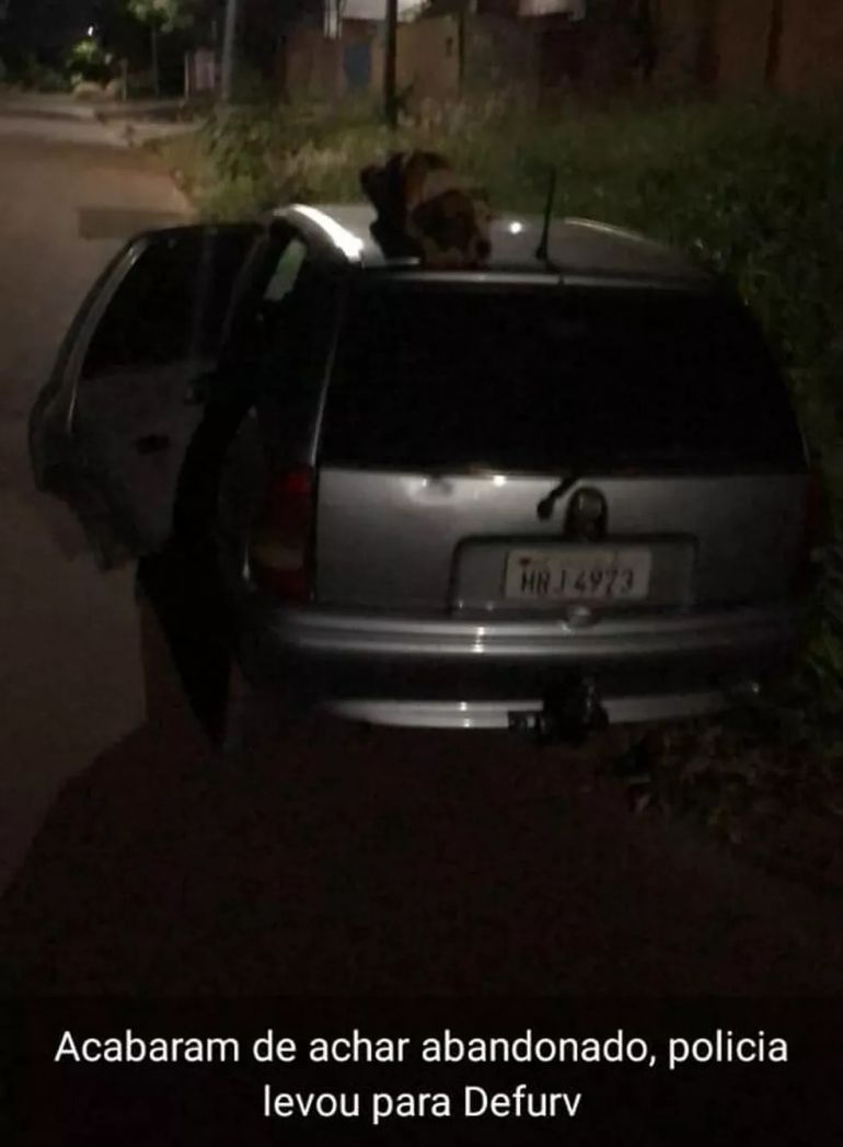 Cão fica vigiando carro furtado até dono aparecer