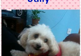 Jully